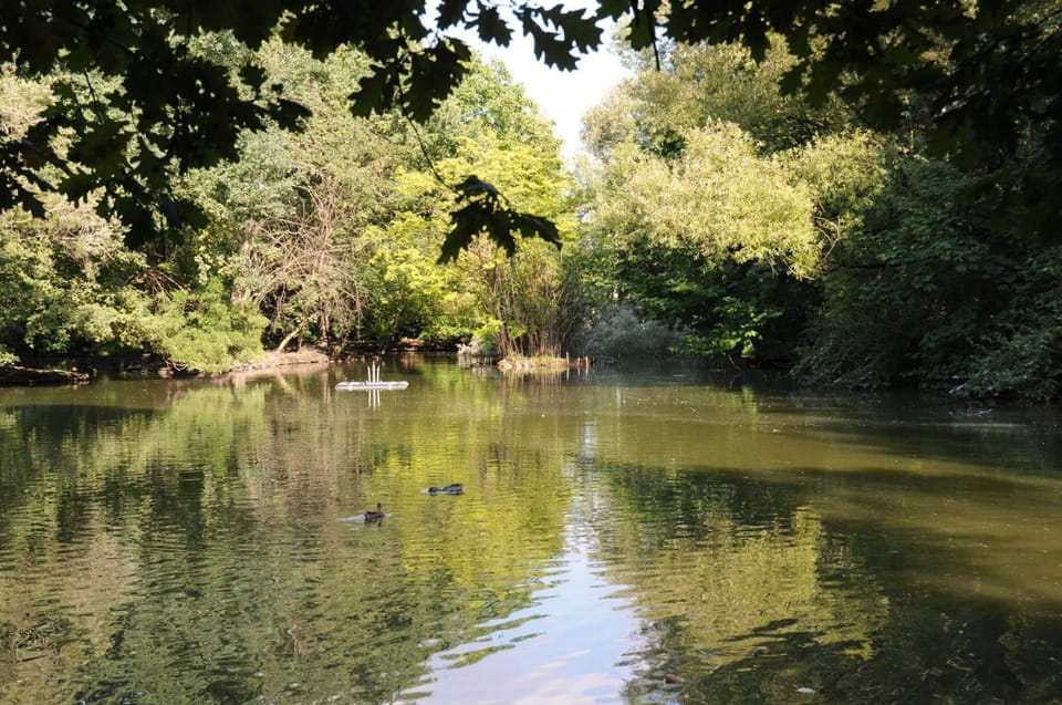 Lake