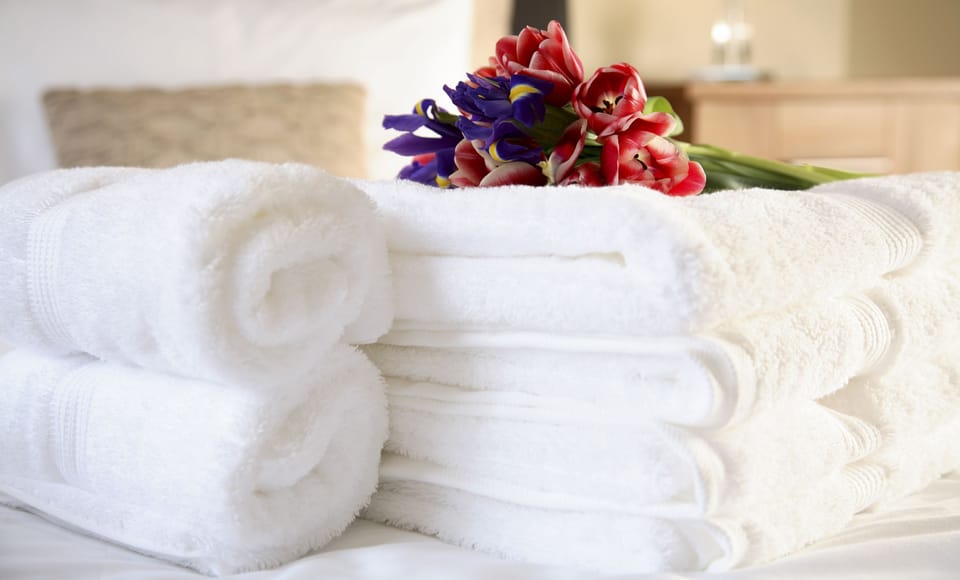 Combined shower/tub, free toiletries, hair dryer, towels