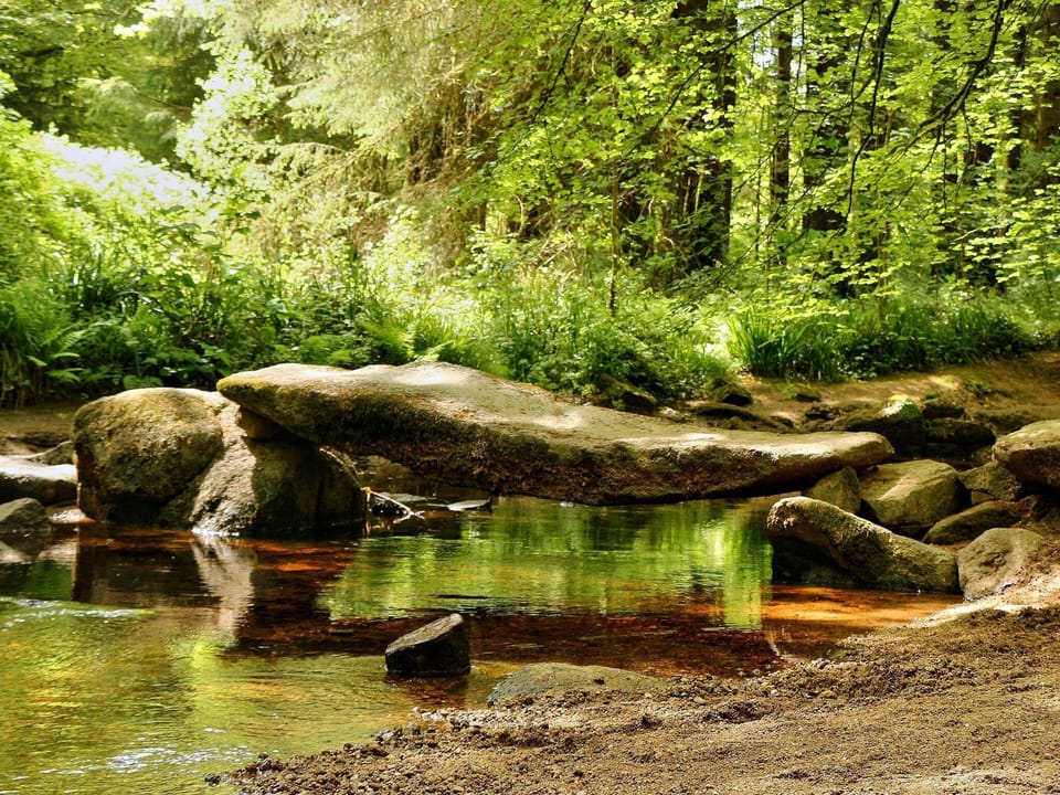 Surroundings [summer] (1-5 km)