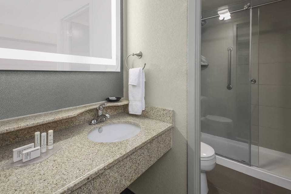 Studio, 1 King Bed with Sofa bed | Bathroom | Free toiletries, hair dryer, towels, soap
