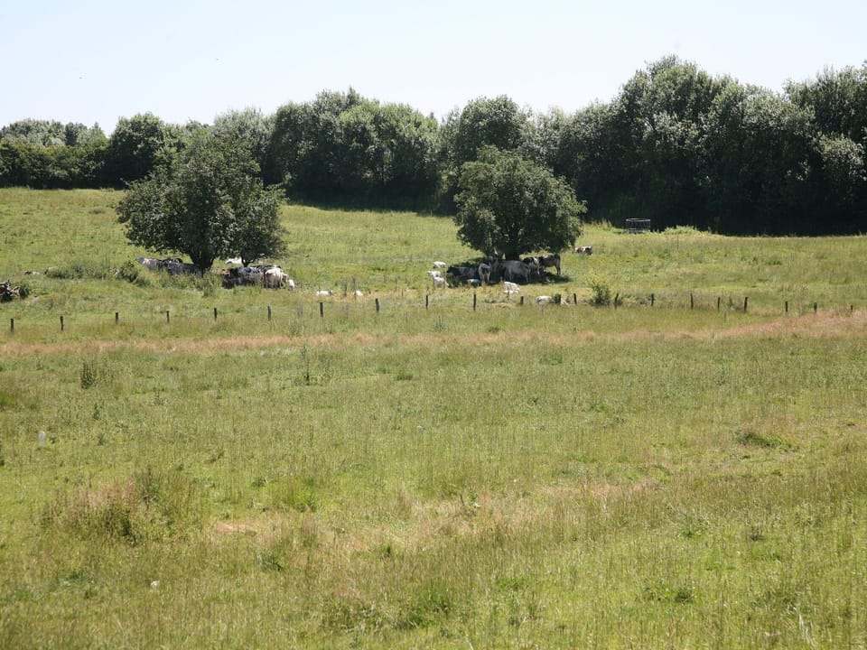 Immediate Surroundings [summer] (<1 km)