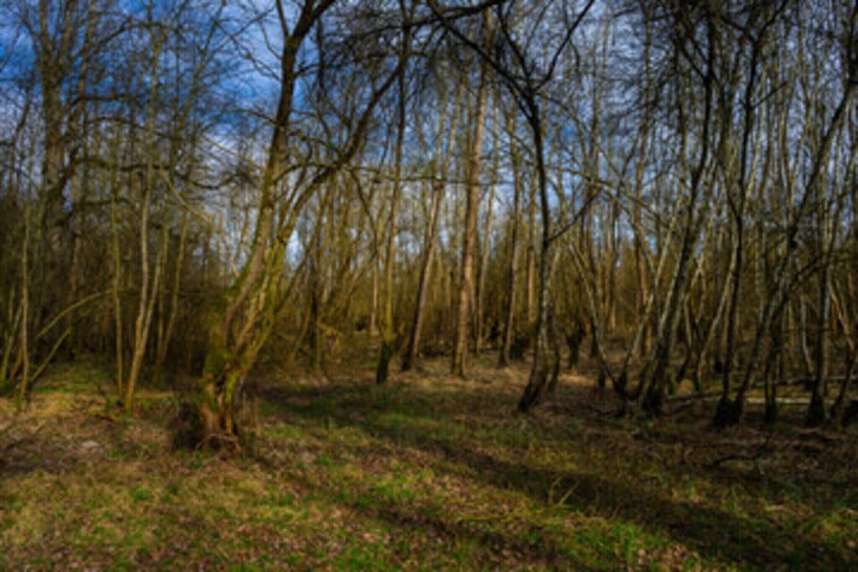 Surroundings [summer] (1-5 km)