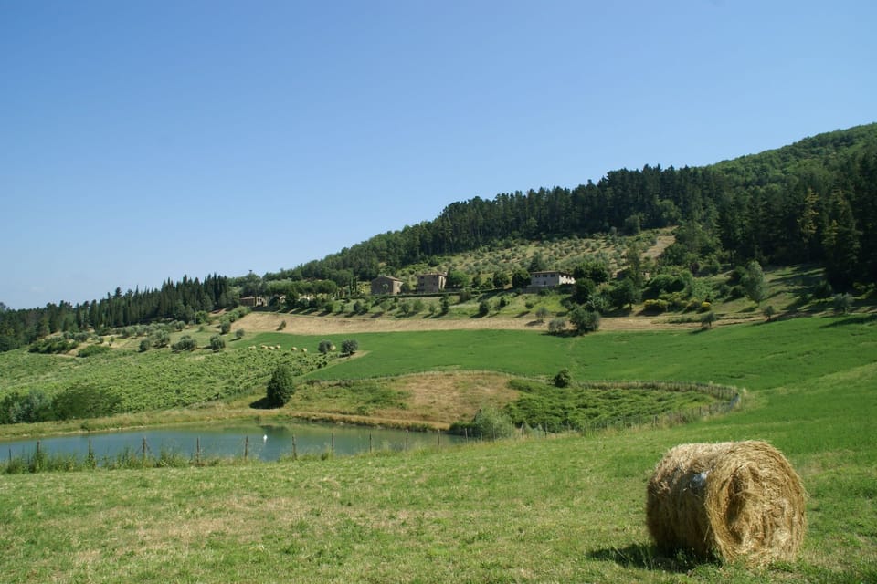 Immediate Surroundings [summer] (<1 km)