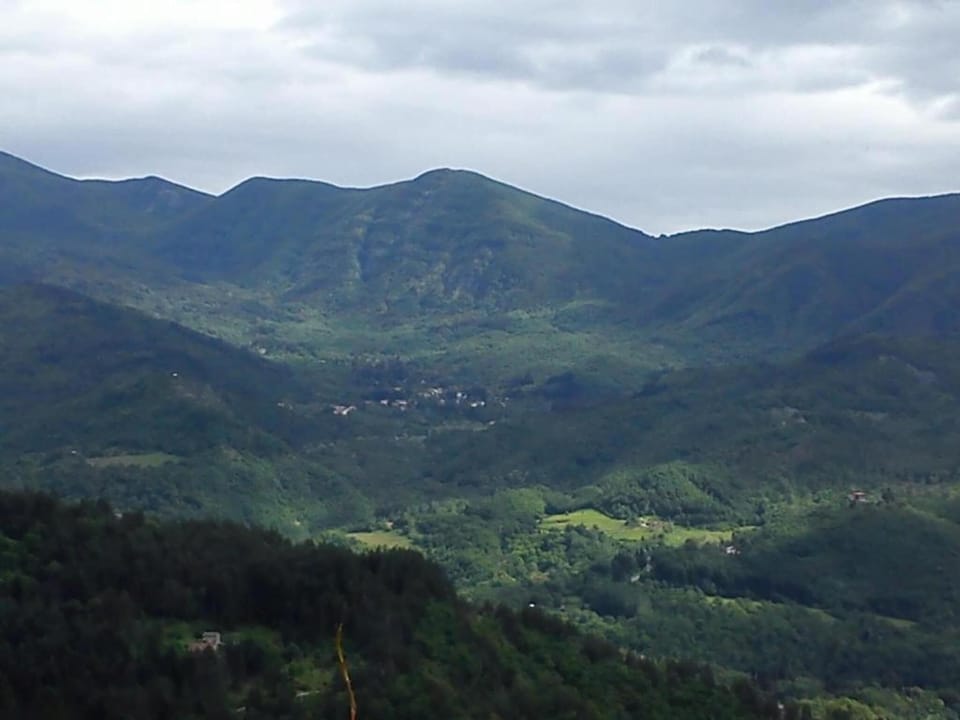 Region [summer] (>5 km)