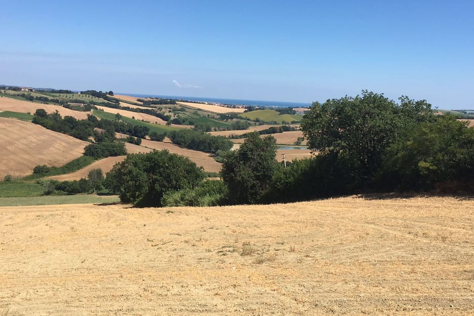 Region [summer] (>5 km)