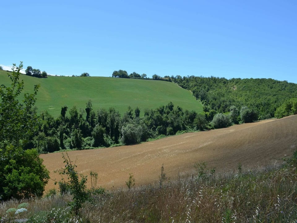 View from Holiday Home [summer]