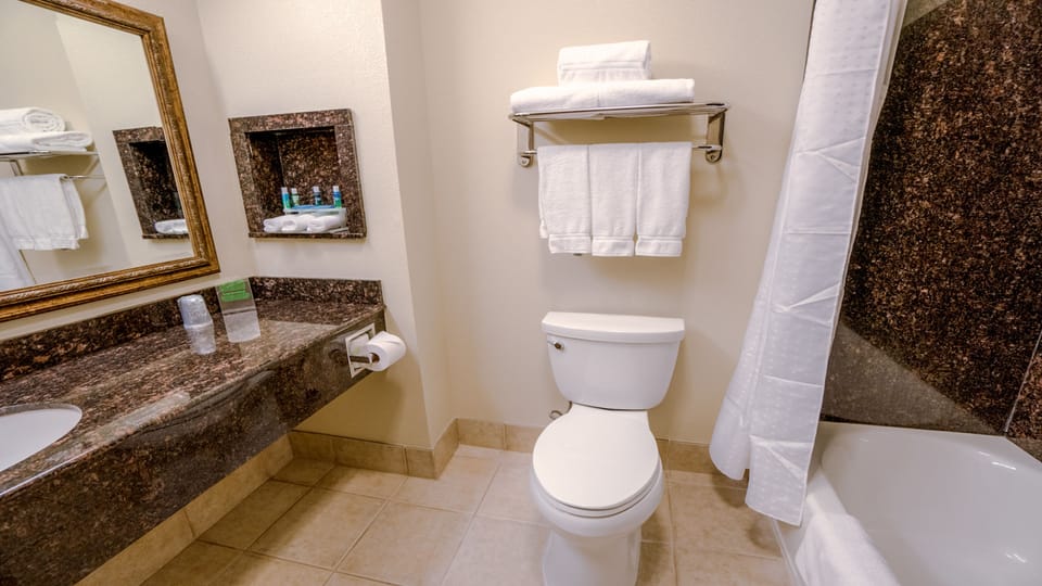In-room safe, desk, iron/ironing board, rollaway beds (free)
