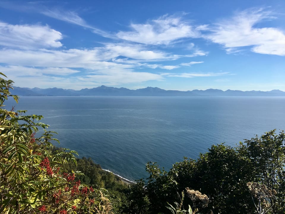 Deluxe Studio Cabin, 1 King Bed, Hot Tub, Ocean View (Augustine) | Beach/ocean view