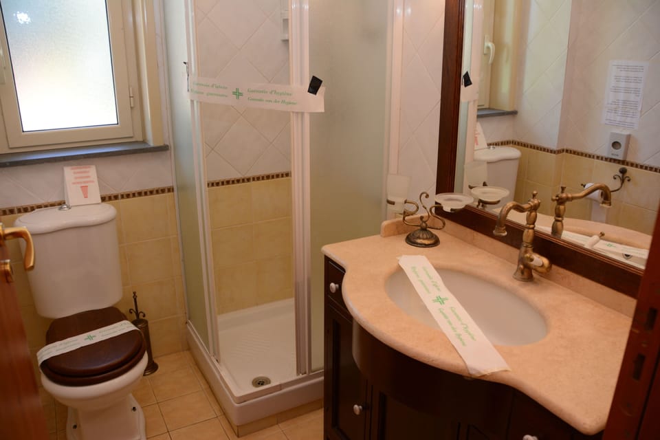 Business Double or Twin Room, Private Bathroom (External) | Bathroom | Shower, free toiletries, hair dryer, bidet
