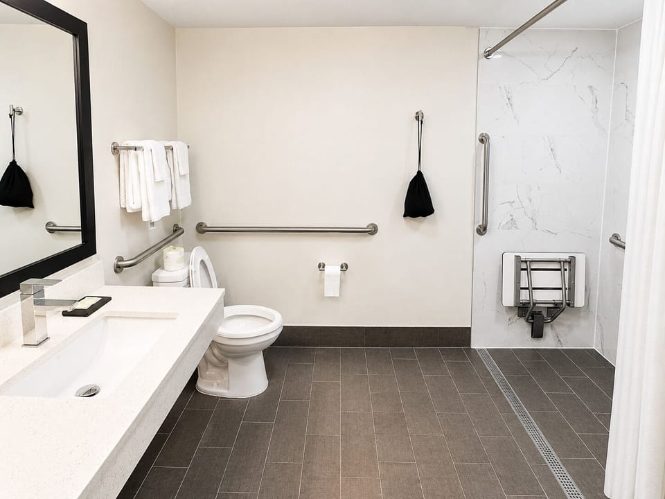 Room, 1 King Bed, Accessible, Non Smoking | Bathroom | Shower, free toiletries, hair dryer, towels