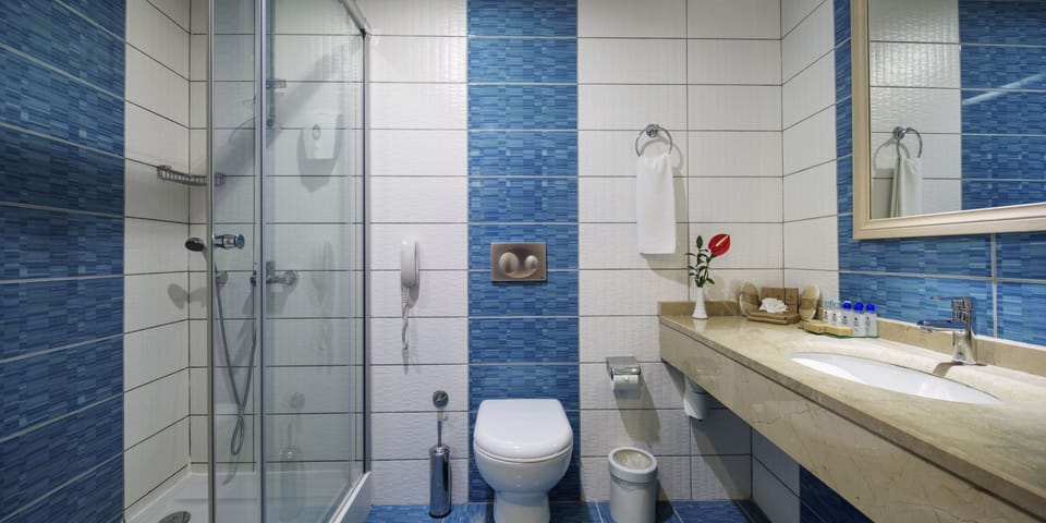 Shower, free toiletries, hair dryer, slippers