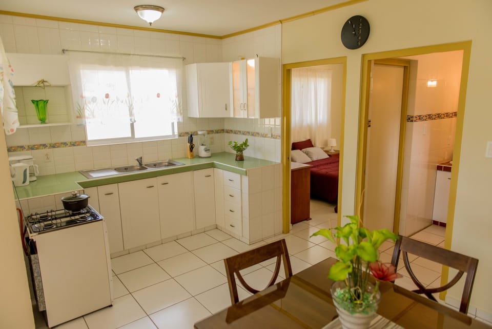 Comfort Apartment, 1 Bedroom, Non Smoking, Kitchen | Private kitchen | Full-size fridge, microwave, oven, stovetop