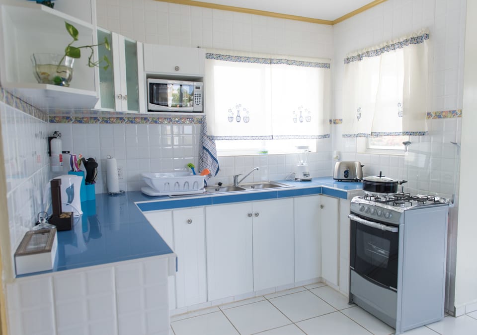 Deluxe Apartment, 1 Bedroom, Non Smoking, Kitchen | Private kitchen | Full-size fridge, microwave, oven, stovetop