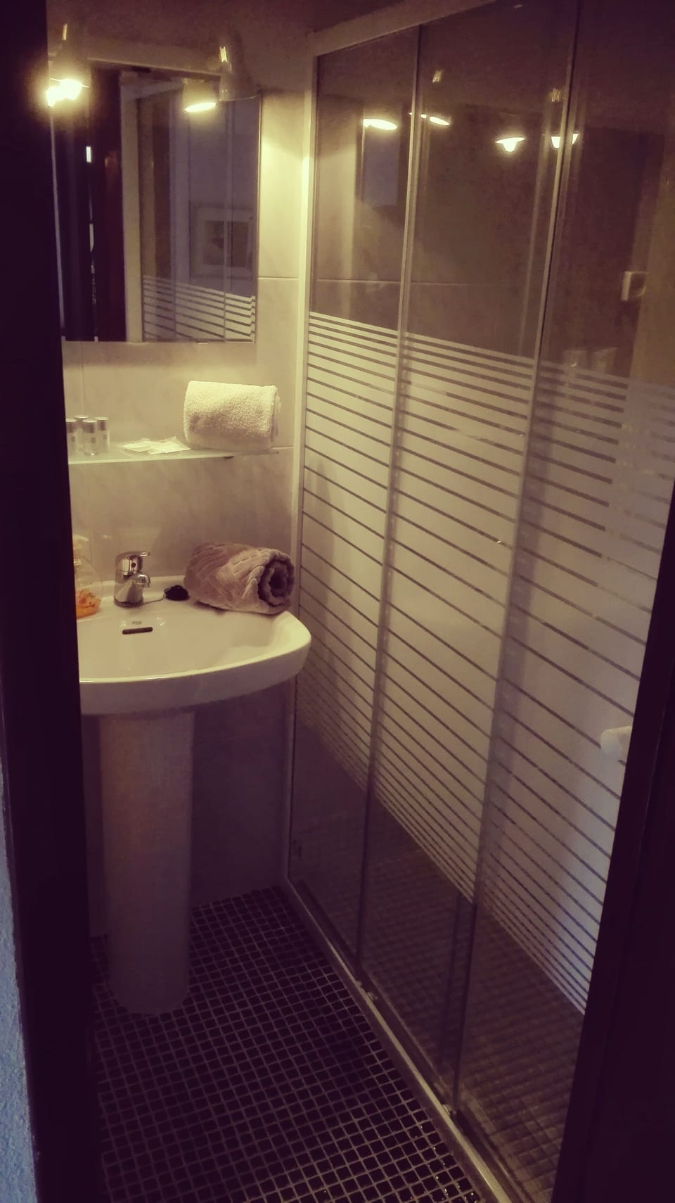 Deluxe Double Room | Bathroom | Shower, free toiletries, towels