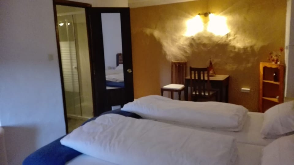 Deluxe Double Room | Desk, laptop workspace, blackout drapes, free WiFi