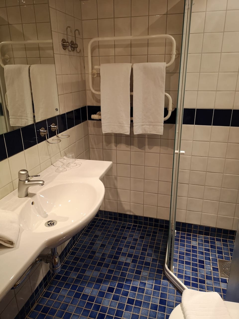 Business Double Room | Bathroom | Shower, free toiletries, hair dryer, towels