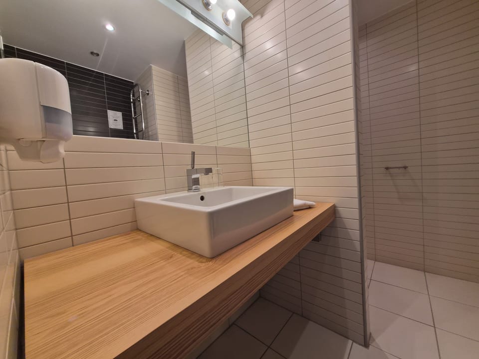 Business Double Room (Lux) | Bathroom | Shower, free toiletries, hair dryer, towels