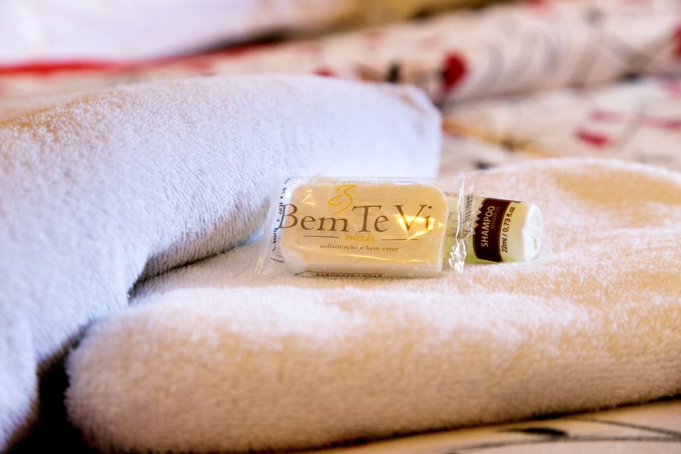 Deluxe Room | Bathroom amenities | Shower, free toiletries, hair dryer, bidet
