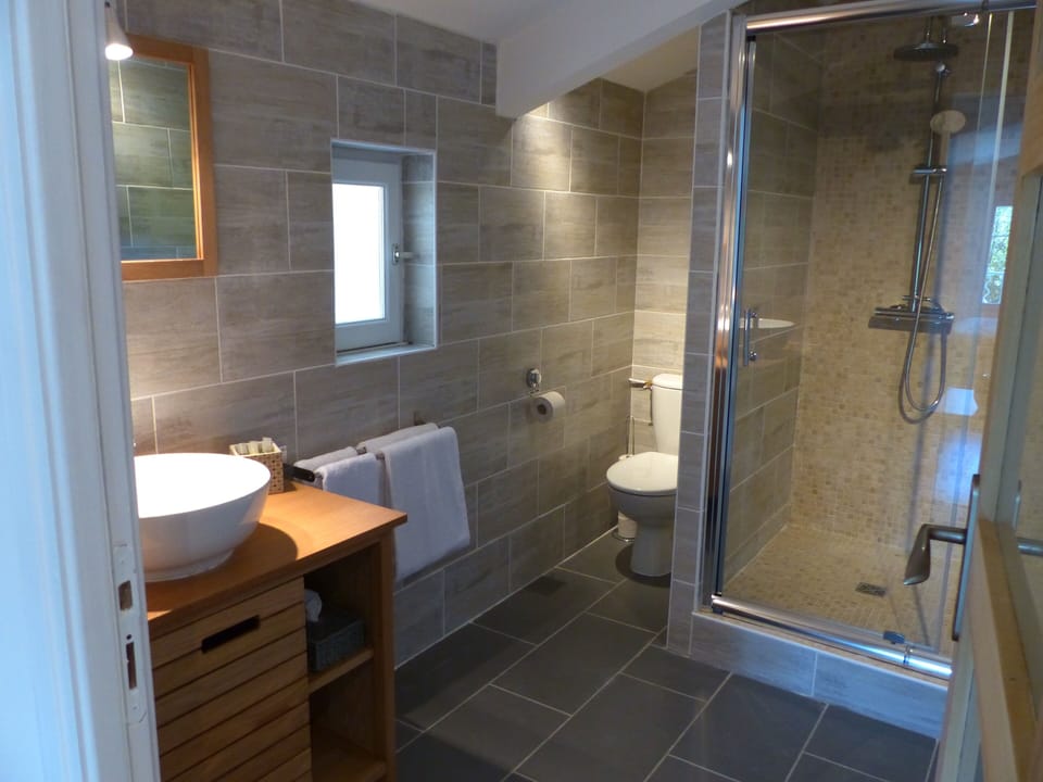Standard Double Room, 1 Double Bed | Bathroom shower