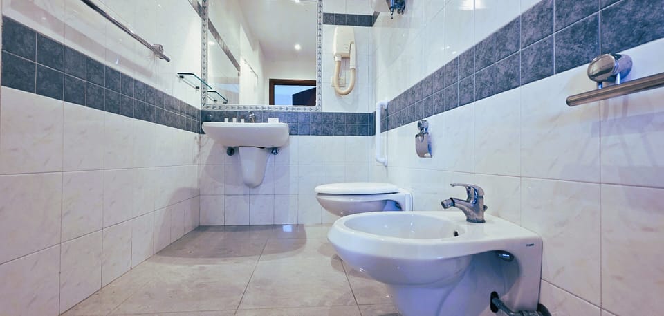 Free toiletries, hair dryer, slippers, bidet