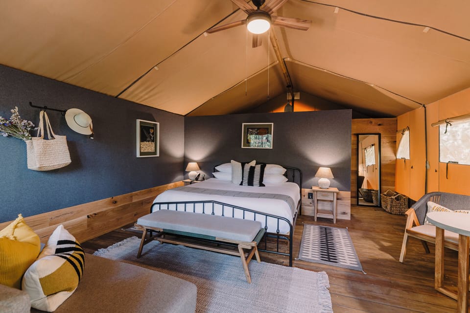 Safari King Room (Access by stairs only) | Premium bedding, down comforters, pillowtop beds, in-room safe