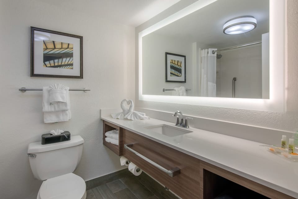 Combined shower/tub, free toiletries, hair dryer, towels