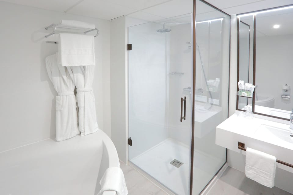 Free toiletries, hair dryer, towels