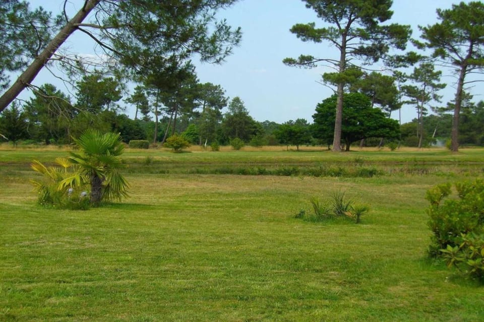 Surroundings [summer] (1-5 km)