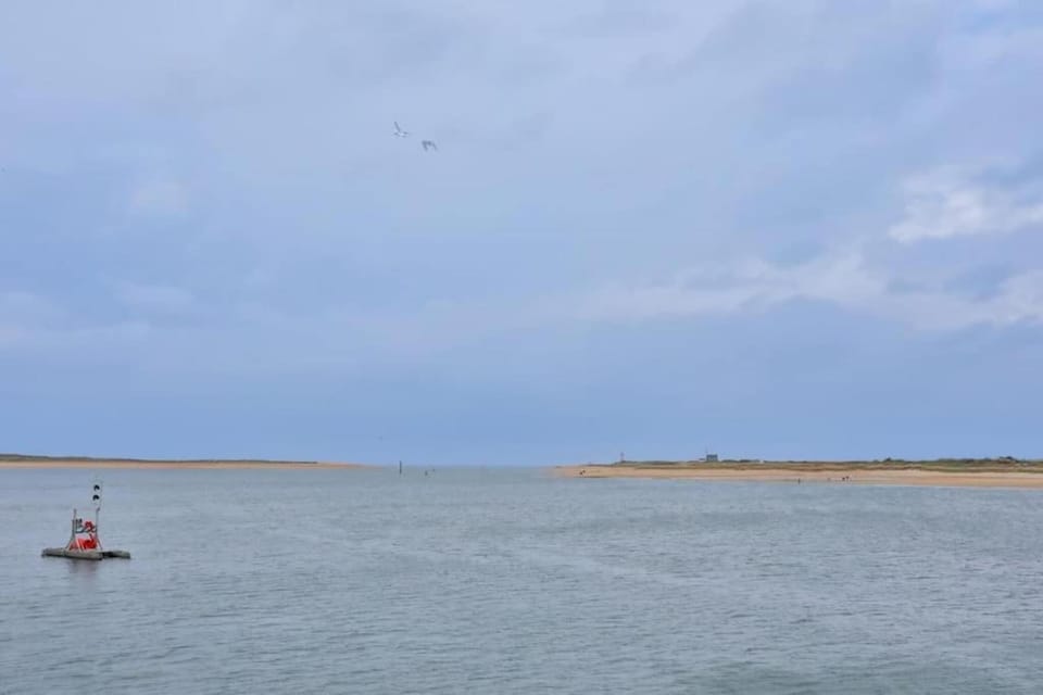 Surroundings [summer] (1-5 km)