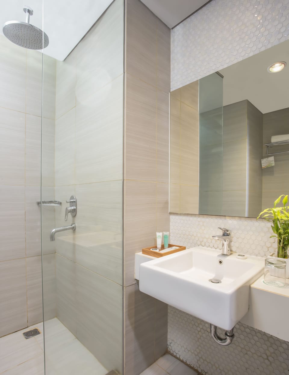 Shower, free toiletries, hair dryer, slippers