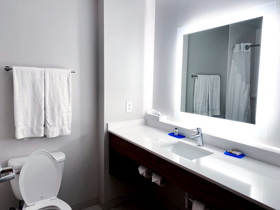 Combined shower/tub, free toiletries, hair dryer, towels