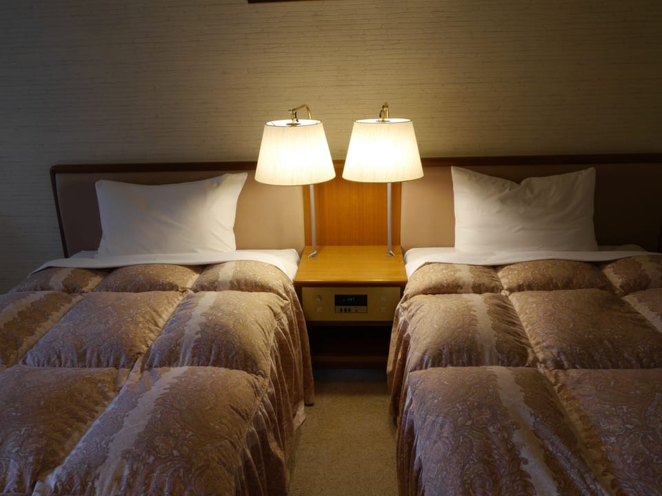Twin Room, Non Smoking | Down comforters, in-room safe, desk, free WiFi