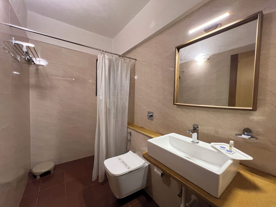 Classic Junior Suite | Bathroom | Shower, free toiletries, towels, soap
