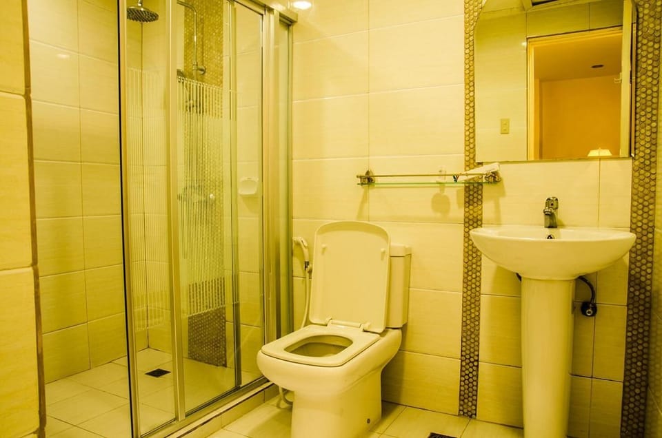 Free toiletries, hair dryer (on request), bidet, towels