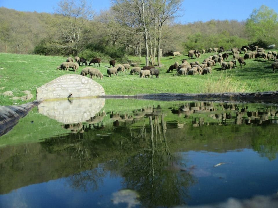 Lake