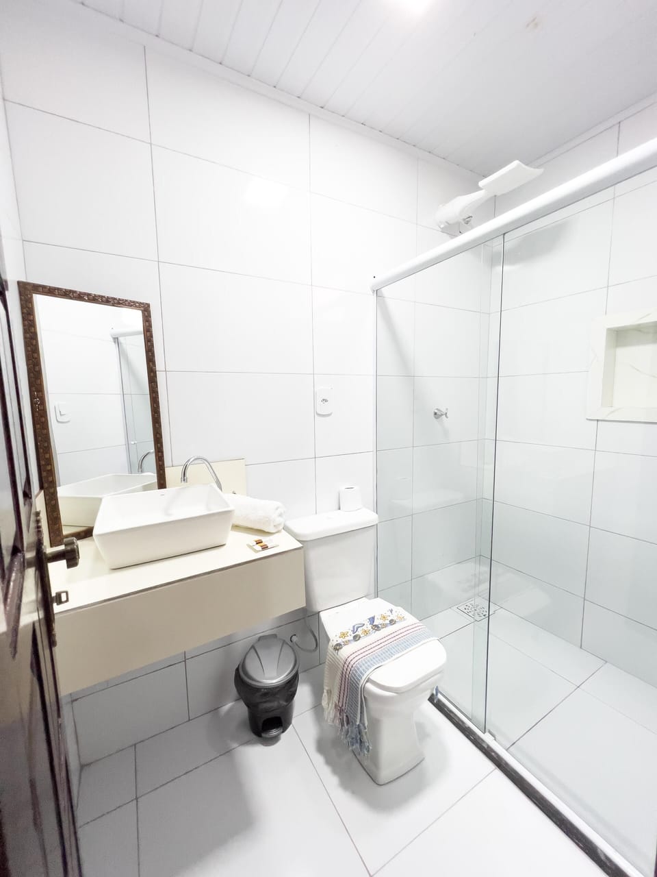 Shower, towels, toilet paper