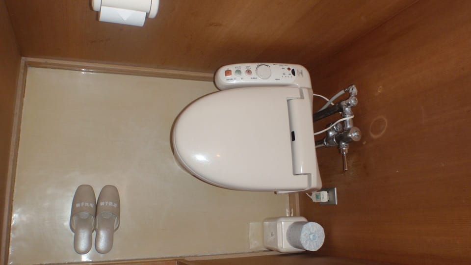 [No floor designation] Run of House with Toilet and Sink, Non Smoking | Bathroom amenities | Free toiletries, hair dryer, slippers, bidet