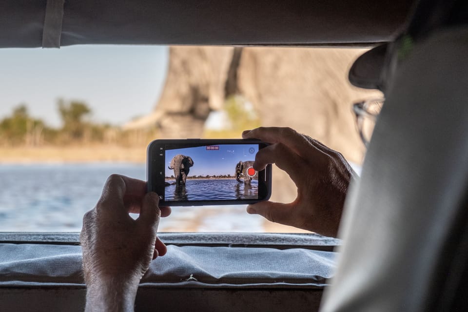 Safari