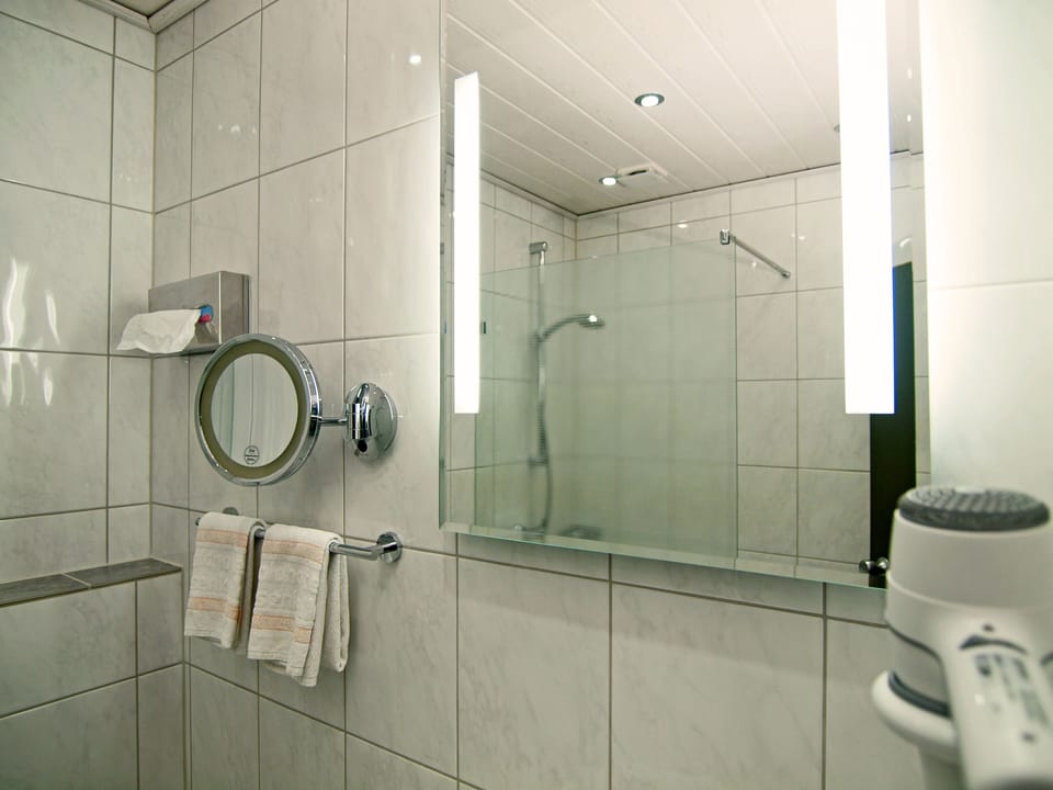 Shower, hair dryer, towels