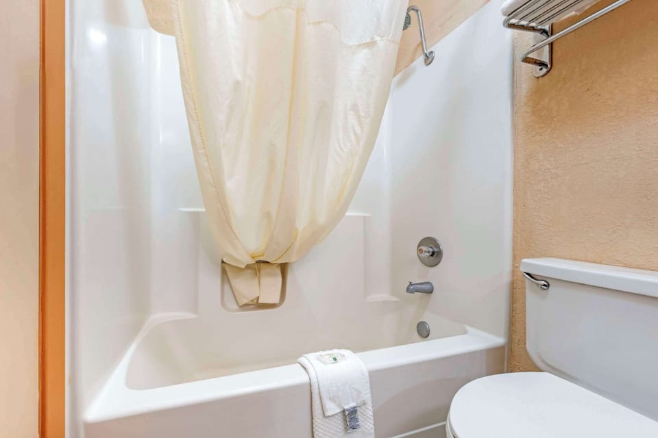 Room, 1 King Bed, Non Smoking | Desk, blackout drapes, free WiFi, bed sheets
