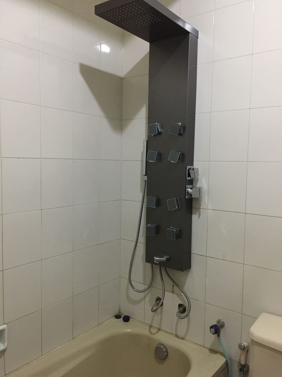 Deluxe Room | Desk, rollaway beds, free WiFi