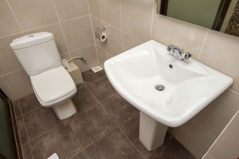 Standard Double Room | Bathroom | Shower, rainfall showerhead, free toiletries, bathrobes