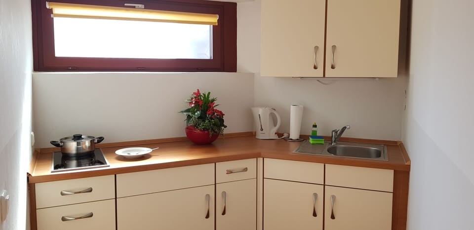Deluxe Single Room | Private kitchen | Fridge, microwave, stovetop, coffee/tea maker