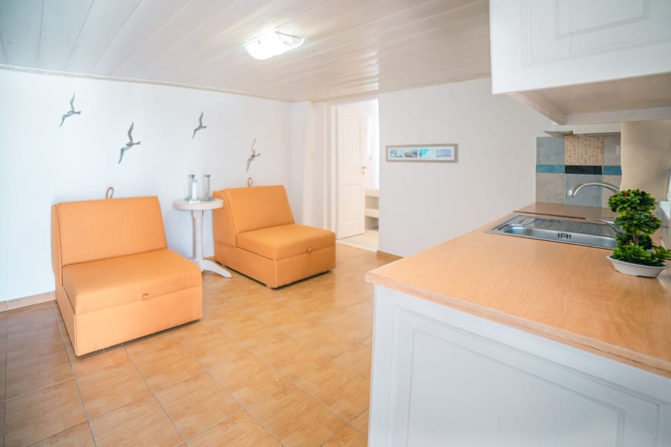 Exclusive Apartment | Living area | 32-inch flat-screen TV with cable channels, TV