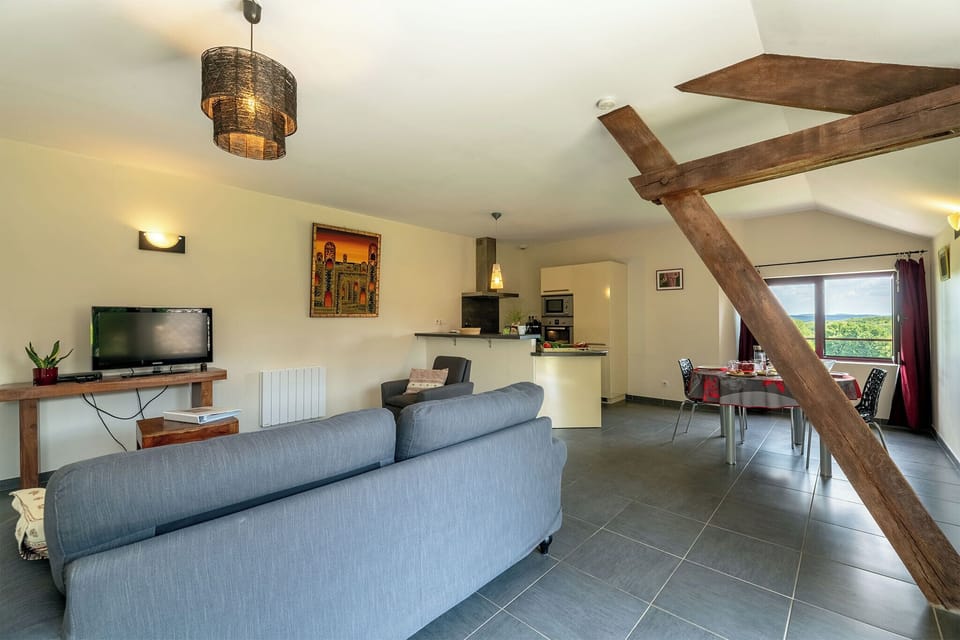 Superior Apartment, Private Bathroom (Gite Amélie) | Living area | 60-cm flat-screen TV with digital channels, TV, DVD player