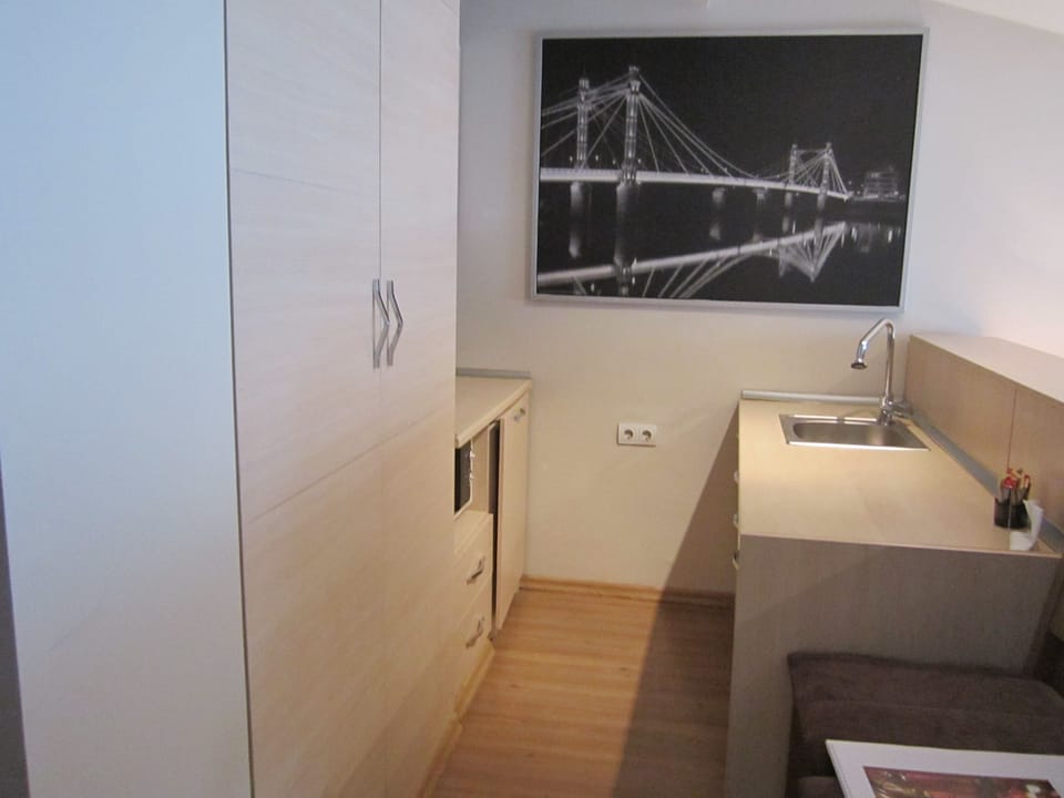 Roof Suite, Kitchen | Private kitchen | Fridge, electric kettle