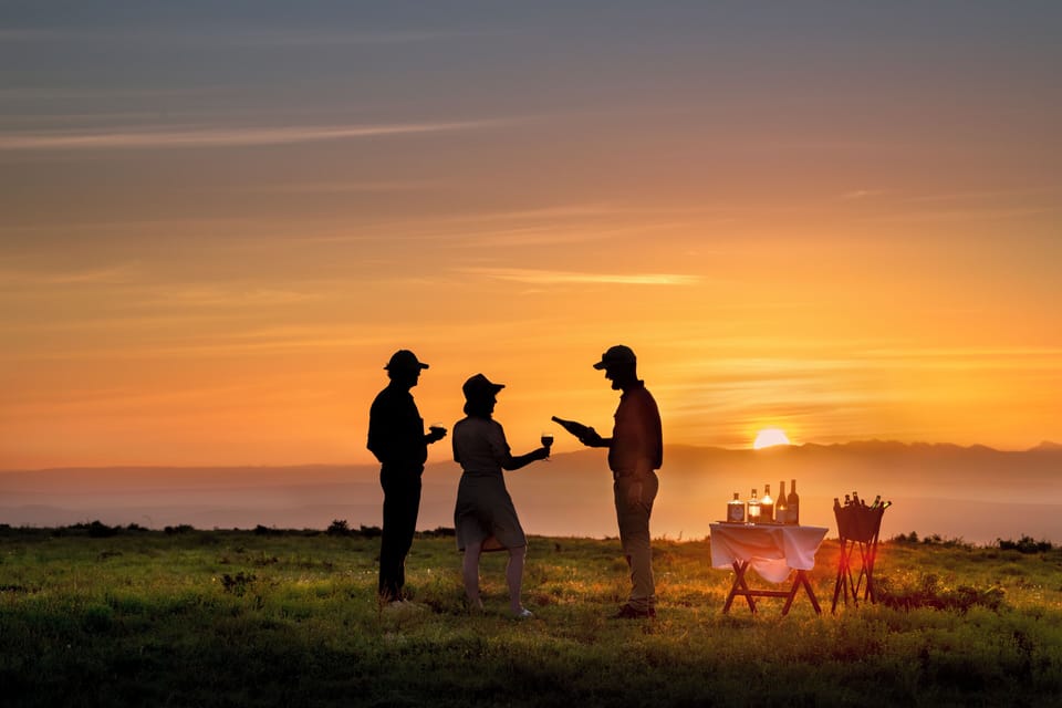 Game viewing