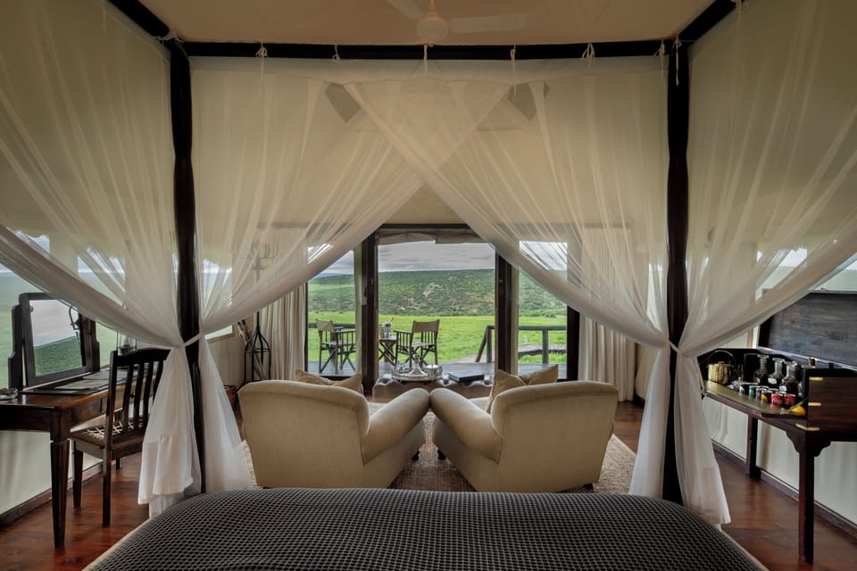 Luxury Tented Suite | 1 bedroom, premium bedding, Select Comfort beds, in-room safe