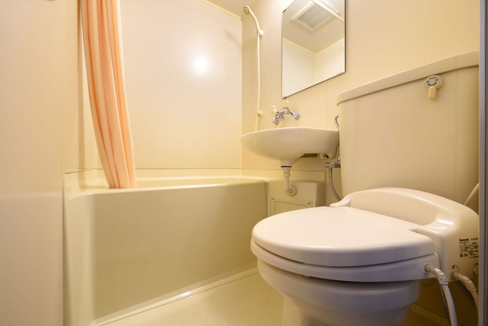 Shower, free toiletries, hair dryer, bidet