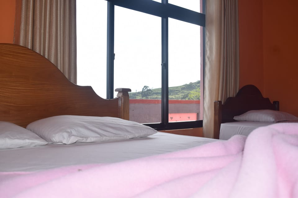 Soundproofing, iron/ironing board, free WiFi